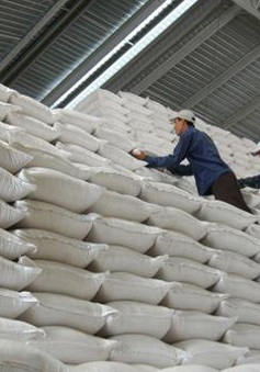 Hỗ trợ gạo cho tỉnh Lạng Sơn trong thời gian giáp hạt