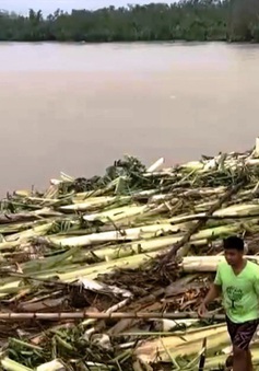 Bão Molave tàn phá Philippines trước khi đổ bộ Việt Nam
