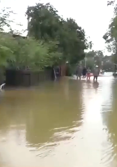 Quảng Trị: Hàng ngàn hộ dân vùng trũng ngập lụt trở lại