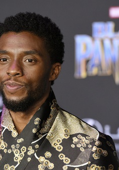 "Black Panther 2": Không dùng kĩ xảo "hồi sinh" Chadwick Boseman