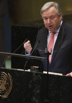 Liên Hợp Quốc thúc đẩy cải tổ Hội đồng Bảo an