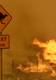 Nền nhiệt tăng cao tại nhiều khu vực, Australia đứng trước nguy cơ xảy ra các vụ cháy rừng