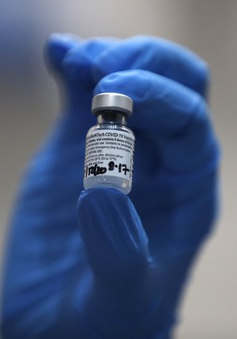 Châu Âu cấp phép sử dụng vaccine của Pfizer - Biontech