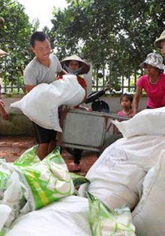 Thủ tướng quyết định xuất cấp thêm 3.600 tấn gạo cứu trợ đồng bào bị thiên tai