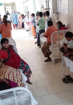 Ấn Độ điều tra căn bệnh lạ xuất hiện ở bang Andhra Pradesh