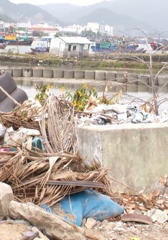 Tàu cháy, nhà bỏ hoang gây ô nhiễm khu dân cư ven biển