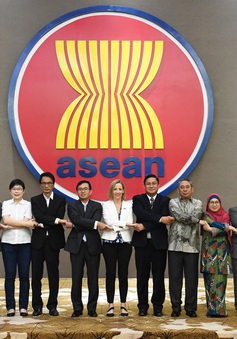 Việt Nam dự cuộc họp lần thứ 11 Ủy ban hợp tác chung ASEAN - Hoa Kỳ