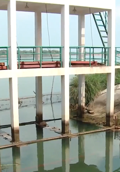 Hạn mặn đe doạ sản xuất vụ Đông Xuân ở Quảng Nam