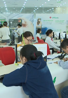 IFC nâng hạn mức tài trợ cho doanh nghiệp Việt