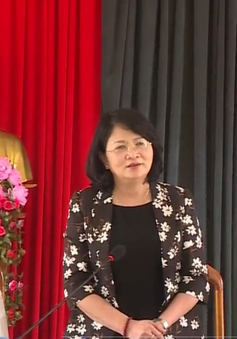 Phó Chủ tịch nước Đặng Thị Ngọc Thịnh làm việc tại Cà Mau