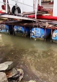 Hà Tĩnh: Tìm nguyên nhân vệt dầu loang xuất hiện trên tuyến sông Lam