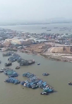 Bình Định: 5 tàu cá đóng theo NĐ67 mua được bảo hiểm