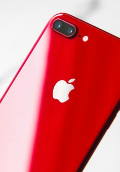 Đừng vội mua iPhone SE mới, bởi iPhone SE Plus sắp ra mắt