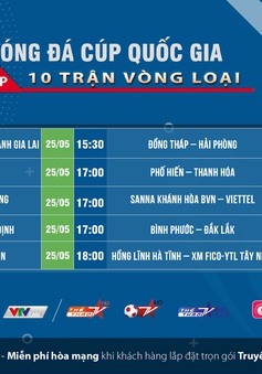 Bóng đá Việt “hồi sinh” trên VTVcab
