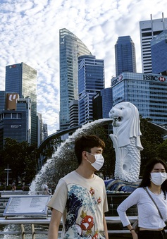 Bộ Y tế Singapore gửi nhầm thông báo tái dương tính COVID-19 cho hàng trăm người