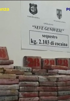 Colombia thu giữ lượng cocaine "khủng" trị giá 265 triệu USD trong các container