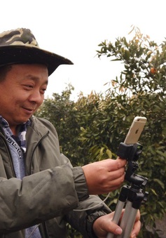 Nông dân Trung Quốc đổi đời nhờ livestream, thương mại điện tử nông thôn bùng nổ