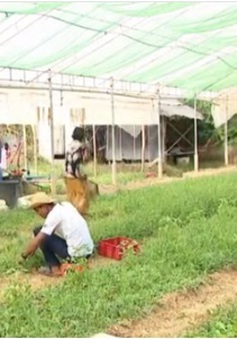 WB thông qua khoản tín dụng 93 triệu USD hỗ trợ chương trình cấp đất ở Campuchia