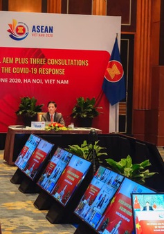Hội nghị Bộ trưởng Kinh tế ASEAN+3: Gắn kết và chủ động thích ứng nhằm đối phó với dịch COVID-19