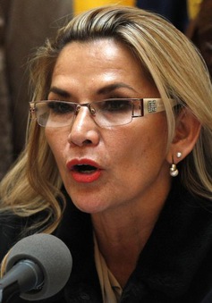 Nữ Tổng thống lâm thời Bolivia mắc COVID-19