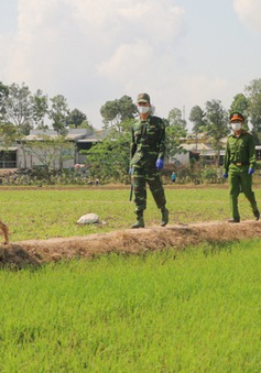Biên phòng An Giang bắt giữ gần 400 người nhập cảnh trái phép