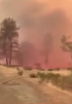 Tổng thống Trump tuyên bố tình trạng thảm họa do cháy rừng ở California