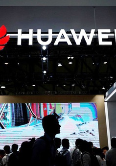 Huawei ráo riết mua gom linh kiện trước thời hạn chót Mỹ đặt ra
