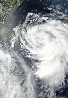 Trung Quốc ban bố cảnh báo vàng ứng phó với cơn bão Hagupit