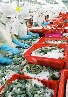 Hưởng ưu đãi thuế theo EVFTA, hàng loạt nông sản Việt xuất sang EU