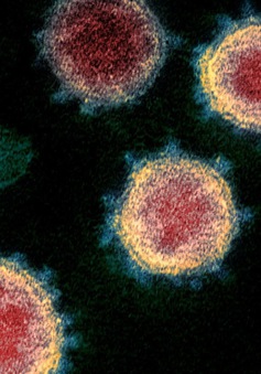 Virus SARS-CoV-2 có thể tiếp tục đột biến ngay cả khi có vaccine