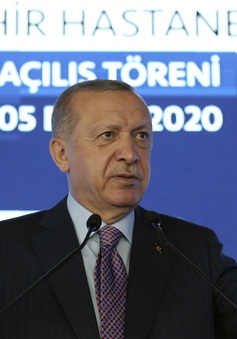 Thổ Nhĩ Kỳ cảnh báo không nhượng bộ về tranh chấp với Hy Lạp