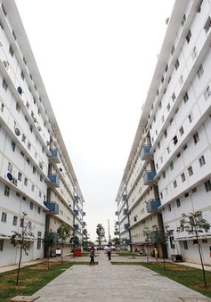 Khan hiếm căn hộ bình dân  tại TP Hồ Chí Minh