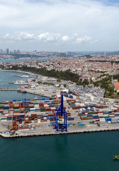 Lời giải nào cho cuộc khủng hoảng container rỗng?