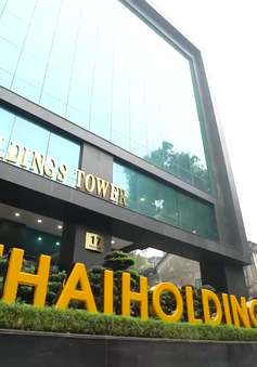ThaiHoldings bán thành công gần 300 triệu cổ phiếu ra công chúng