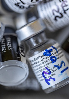 Vaccine của Pfizer-BioNTech có hiệu quả đối với biến thể từ Anh và Nam Phi