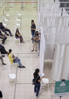 Singapore: 3 người sốc phản vệ nặng sau tiêm vaccine COVID-19