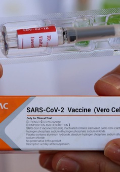 Indonesia bắt đầu phân phối vaccine ngừa COVID-19 trên toàn quốc
