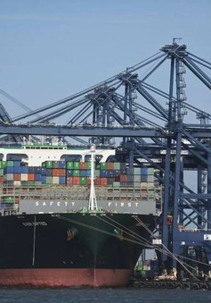 Hoạt động vận tải hàng hóa Anh - EU chịu nhiều tác động từ quy định mới