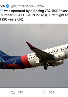 Máy bay của Indonesia chở 59 hành khách bị mất liên lạc