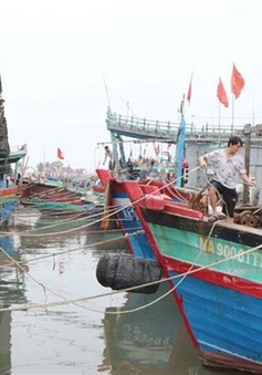 Bão số 7: Trên 1.700 tàu thuyền của TP Sầm Sơn đã vào nơi tránh trú an toàn
