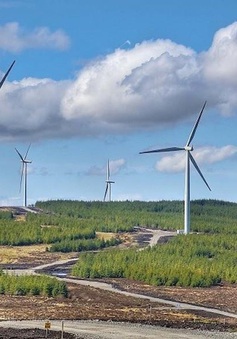 Thêm 5 nhà máy điện gió được công nhận vận hành thương mại
