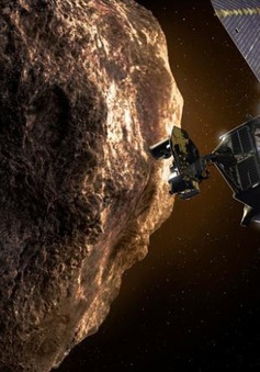 NASA khám phá 8 tiểu hành tinh cổ đại đầy “bí ẩn”