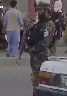 Taliban tấn công nơi ẩn náu của IS