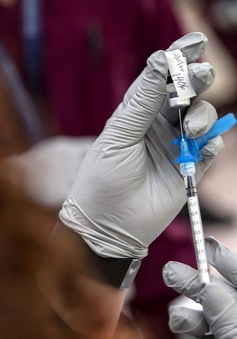 Italy xác nhận hiệu quả ổn định của vaccine mRNA