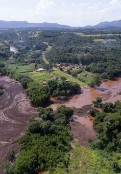 Cảnh sát Brazil cáo buộc nhóm thợ mỏ tội giết người, phá hoại môi trường trong thảm họa vỡ đập