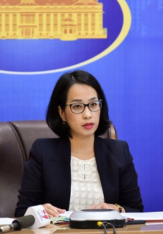 Yêu cầu Trung Quốc rút tàu cá, tôn trọng chủ quyền của Việt Nam