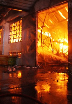Cháy tại công ty sản xuất đồ gỗ ở TP Hồ Chí Minh