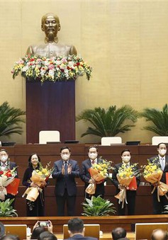 Thành lập Tổ chức nghị sĩ hữu nghị Việt Nam, Nhóm Nữ ĐBQH và Nhóm ĐBQH trẻ