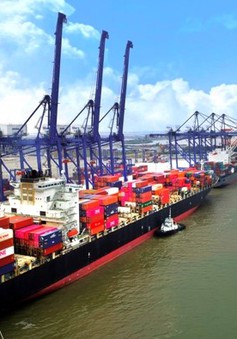Gần 600 triệu tấn hàng hóa qua cảng biển Việt Nam