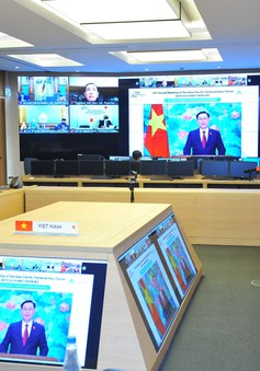 Việt Nam cam kết cùng các nước thành viên APPF hợp tác toàn diện, đẩy mạnh phục hồi kinh tế